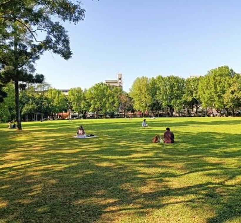 榮星公園的大草皮適合野餐及畫畫取景的好所在