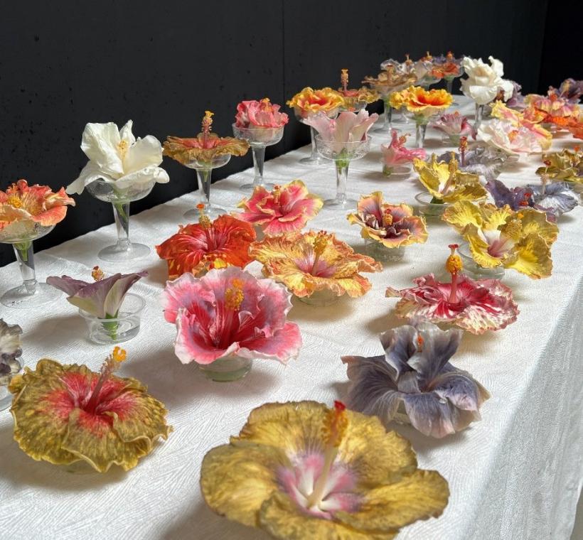 採用「單朵瓶插」展示方式，讓每一朵朱槿都能成為舞台主角