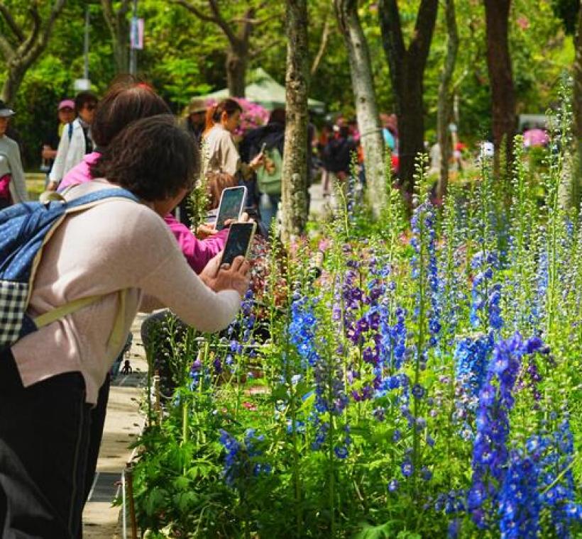 大安森林公園內沿線布置春季花卉也成為民眾拍照的主角之一