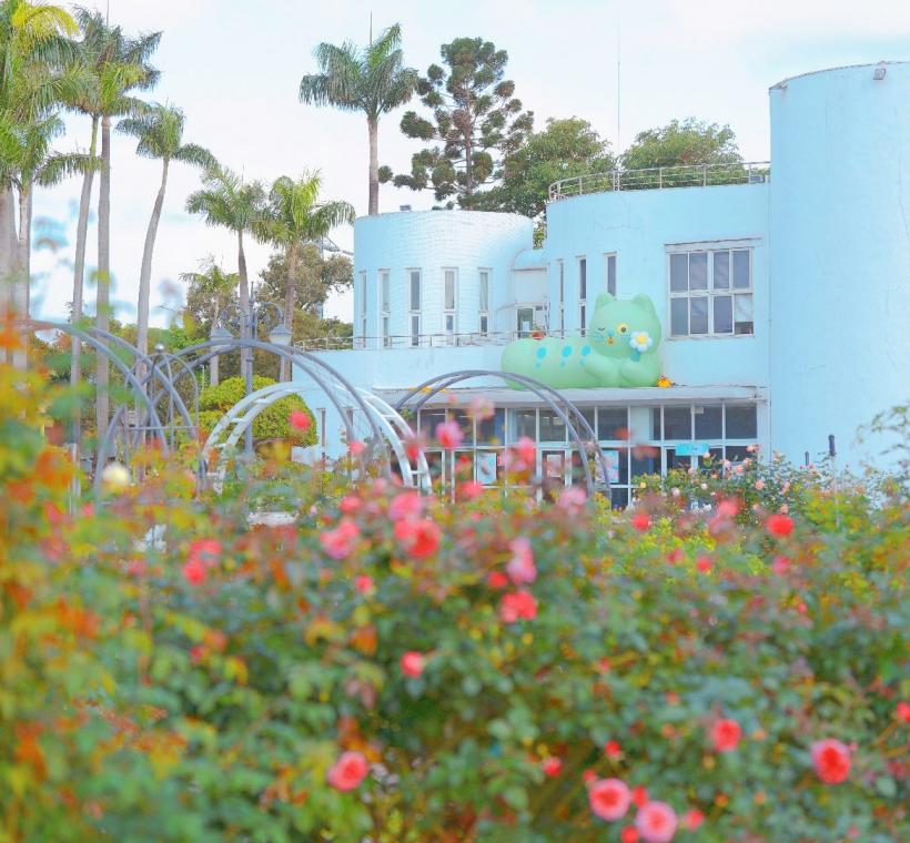 目前花況已來到8成，育種家花園更是各式品種大量盛放，可以拍出絕美的花園景致