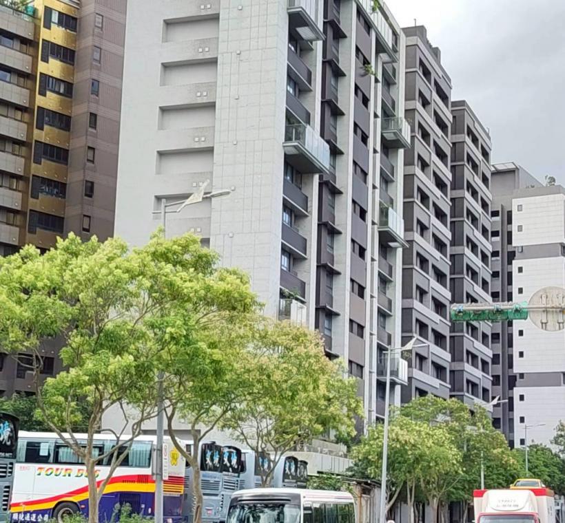 行善路人行道的光臘樹大片樹冠在藍天下舒展，為新社區帶來旺盛生機