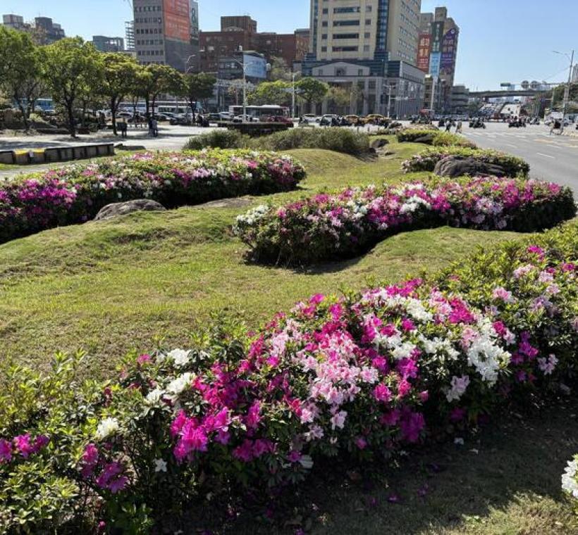 北門廣場盛花花景(照片攝於1150316)