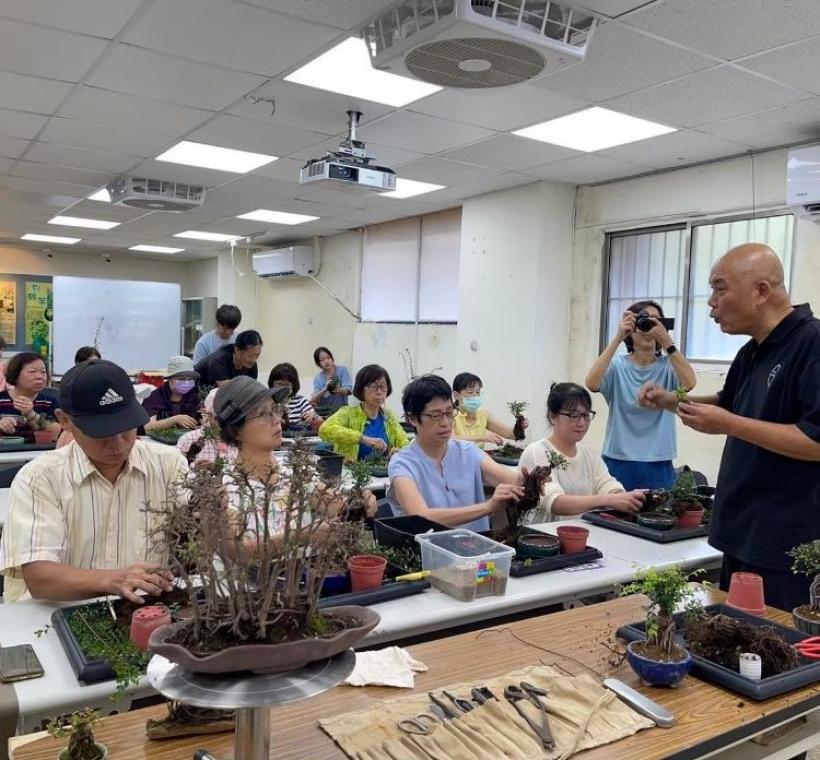 由經驗豐富的講師帶領您了解盆景的美學和技術