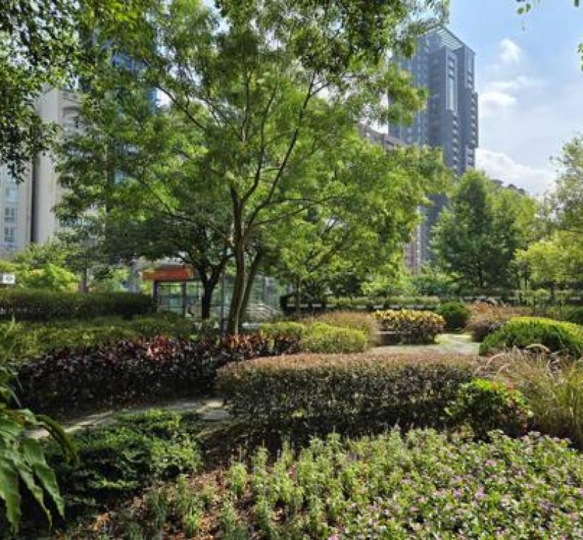 大安森林公園多元的複層植栽設計讓您在每個轉角都充滿驚喜