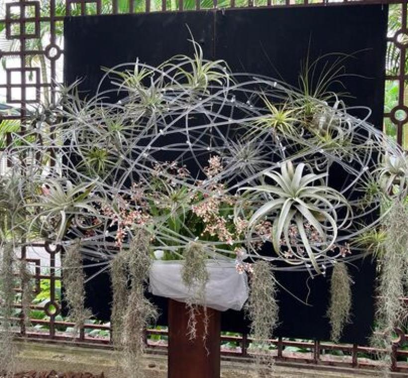 將透明塑膠管融入圓形花藝設計營造科技感