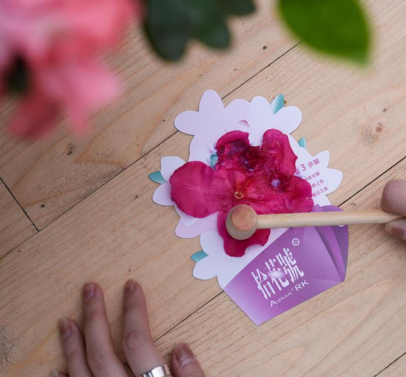 現場免費體驗「杜鵑敲敲畫3.0」，拾起凋謝的杜鵑花，把春天的色彩與紋理轉化為獨一無二的藝術明信片。