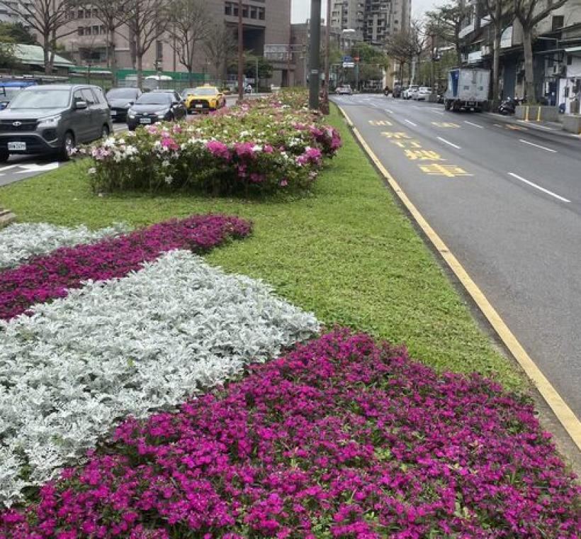 公園處悉心呵護四季草花和杜鵑得以相映成趣(艋舺大道)