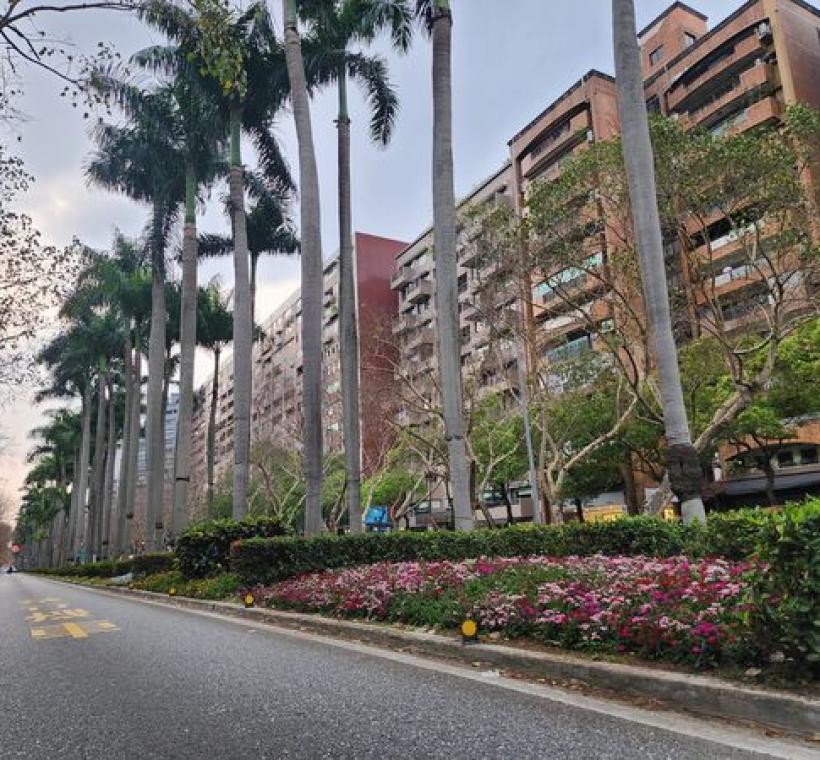 仁愛路中央綠帶結合草花配置，隨道路軸線向前延伸，展現整體景觀連續性