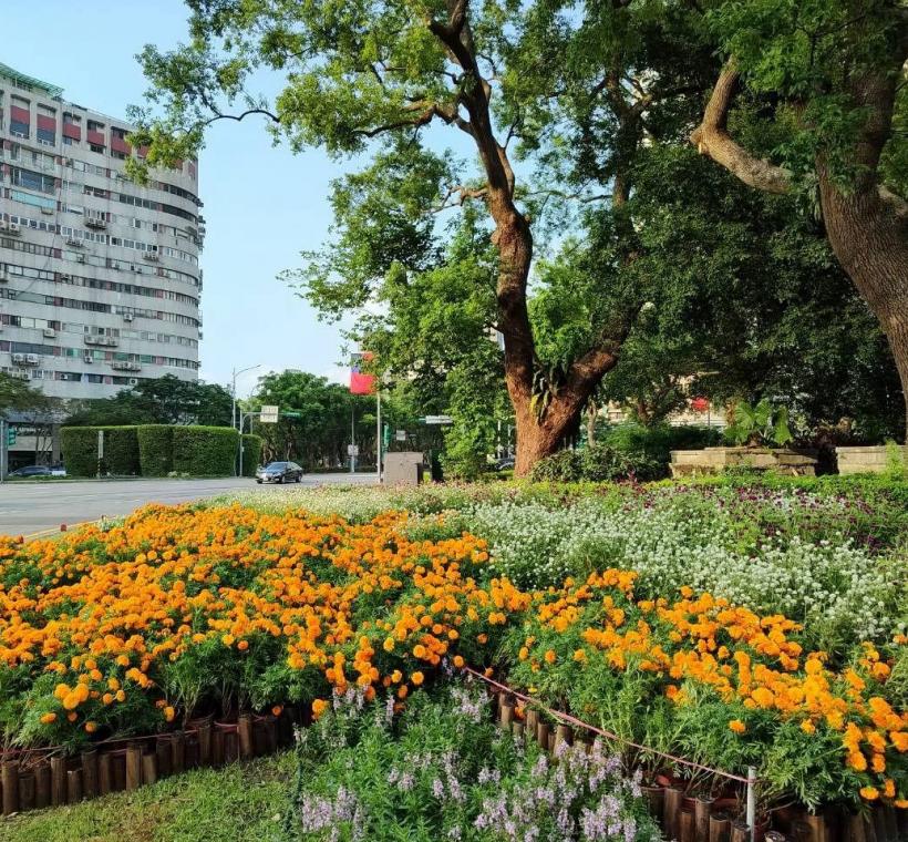 仁愛圓環兩處雙十主題花卉造景悄然綻放，以繽紛花色妝點城市風景