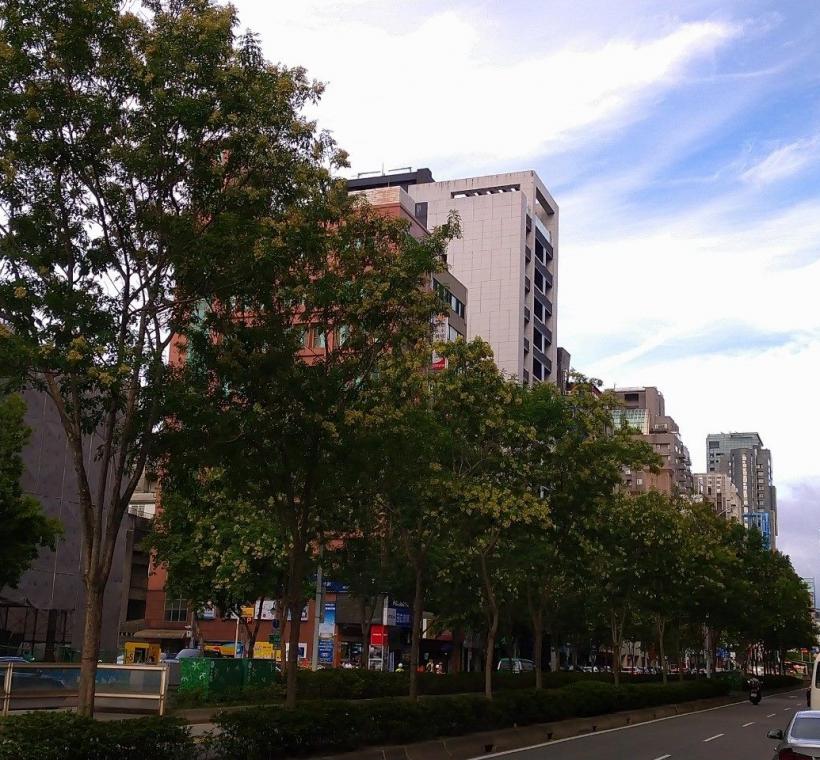 信義路安全島的光臘樹下種植杜鵑、草花等充滿四季變化的動感之美