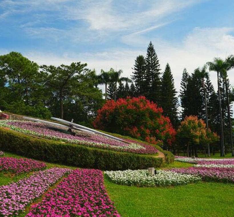 青年公園花鐘目前由三色日日春妝點換新裝