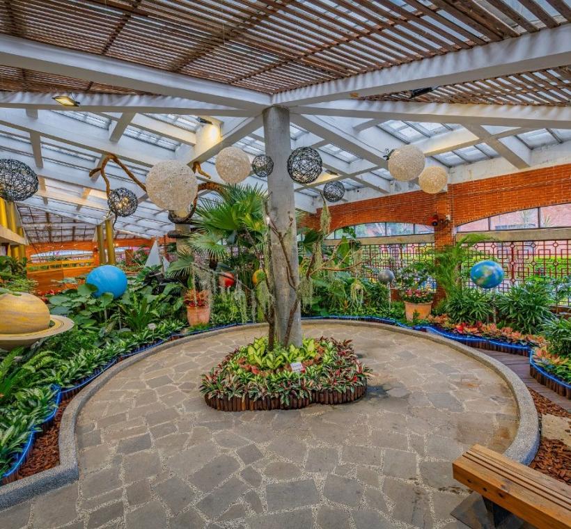 以八大行星搭配觀葉植物完成探索浩瀚無垠宇宙的夢想