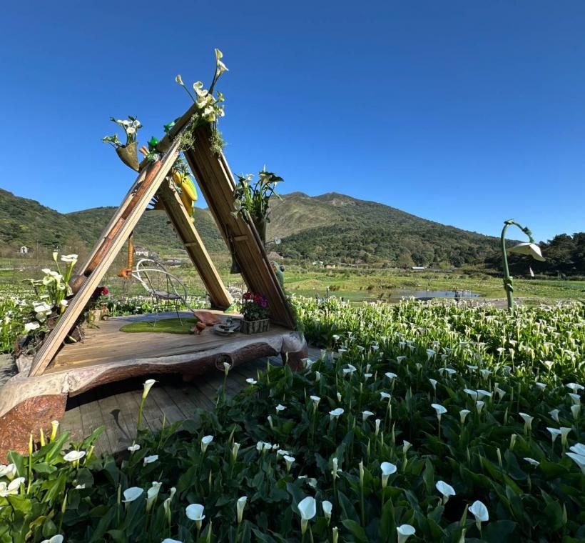 地景藝術競賽金牌獎[海芋風鈴下的蛙聲]
