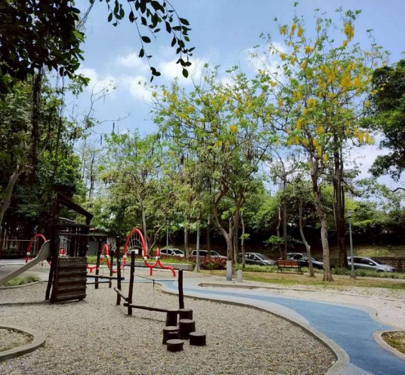 克強公園滿樹金黃與遍地花影交織而成的夏日風景