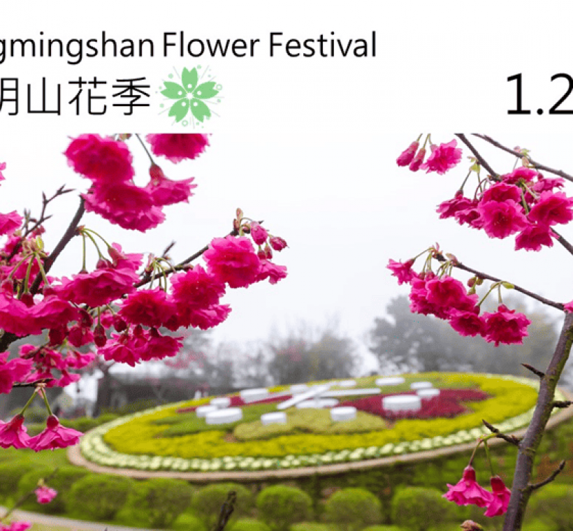 辦理超過一甲子百花盛開的「陽明山花季」