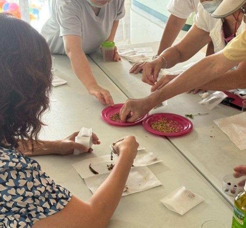 配置個人香草茶配方