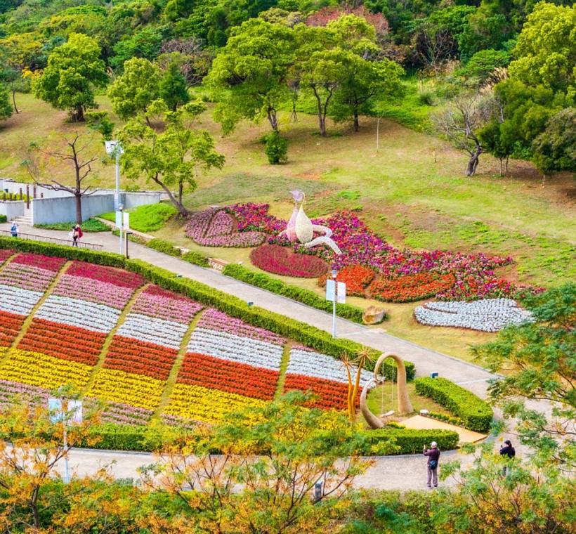 2024三層崎花海，花海空照圖大冠鷲圖騰尾部