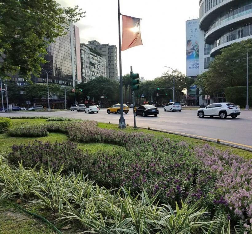 造景兩側，紫、粉、白3色天使花也正值盛花期，花朵隨風搖曳，如同彩帶般在綠意間飛舞
