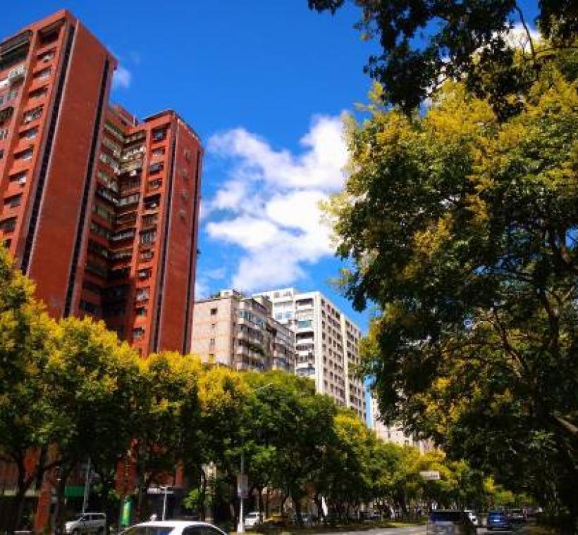 敦化南路上的臺灣欒樹秋天繽紛的色彩為這個城市帶來了活力