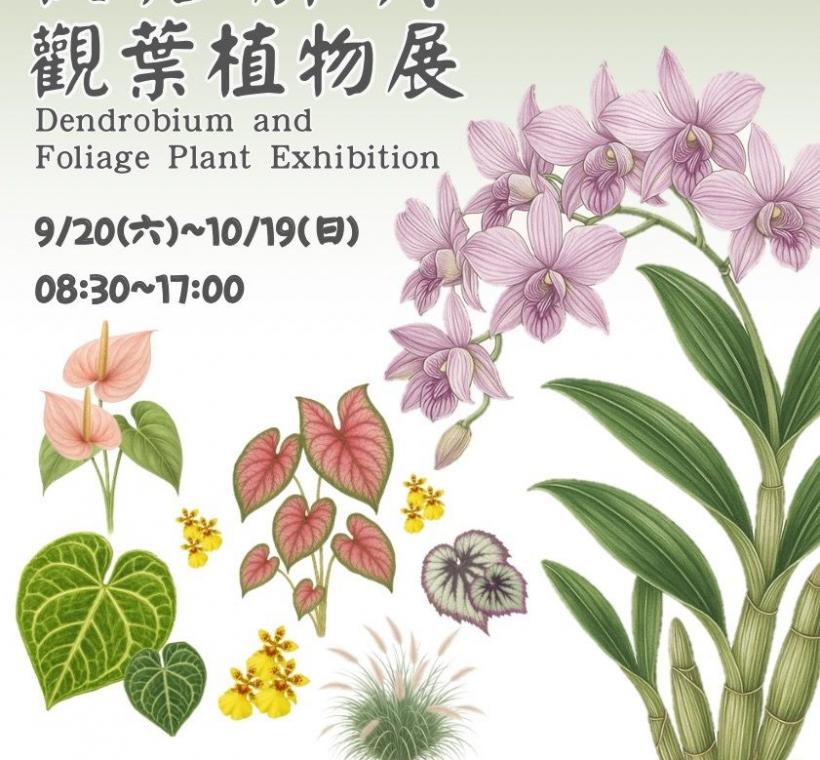 士林官邸秋石斛與觀葉植物展自9月20日開展，快把握秋日來賞花吧!