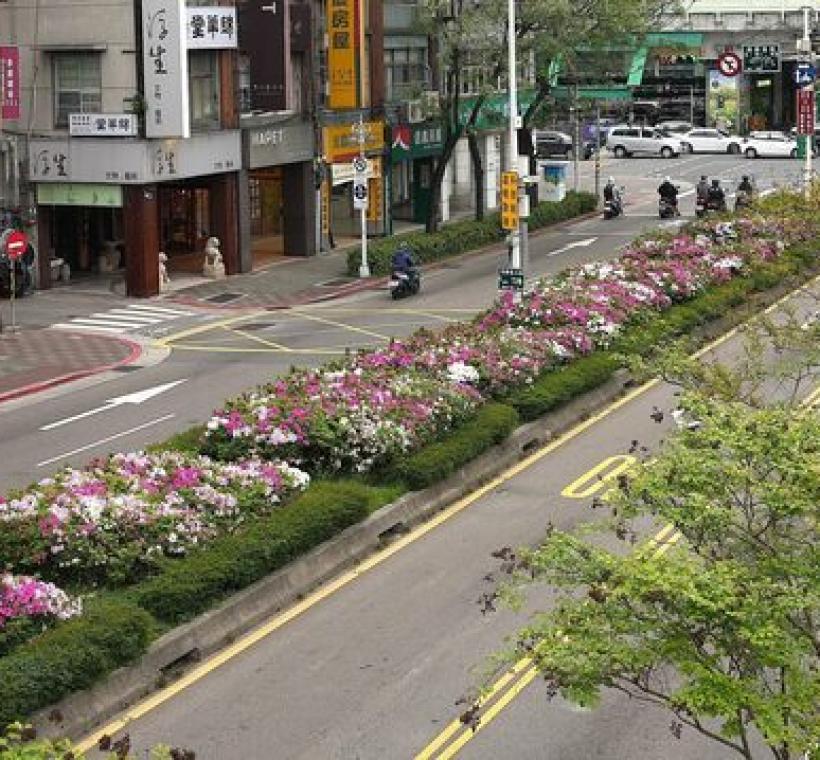 杜鵑花微微一笑很傾城(信義路)