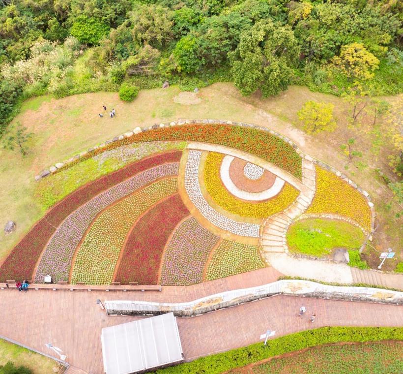 2024三層崎花海，花海空照圖大冠鷲圖騰頭部