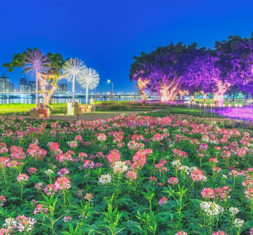 延平河濱花海 草地上鋪設紫藍色系的草網燈增加夜間浪漫氛圍