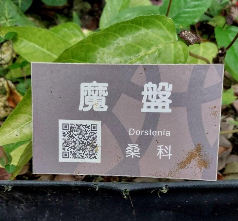 圖14標牌上附上QR碼，提供遊客掃碼，在進入網頁後，可撥放中文及英文介紹。
