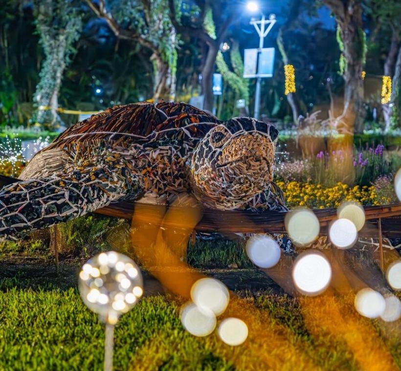 「攏來看菊」展區，透過夜晚燈飾的襯托下，佇立著大型恐龍，與澳洲植物相呼應，栩栩如生彷彿就走進侏儸紀