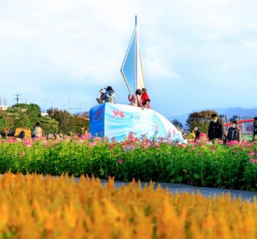 花海中央設置了船型眺望台，登上眺望台，能夠一覽整片花海全景