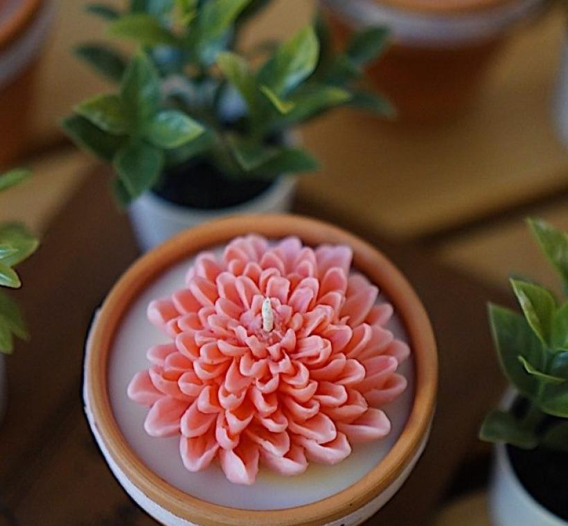 菊展與在地特色品牌合作，推出多款以菊花為靈感的主題商品與課程，讓花藝融入日常生活。Cristina Candle開發的菊花香氛蠟燭，收藏一份獨特的手作記憶