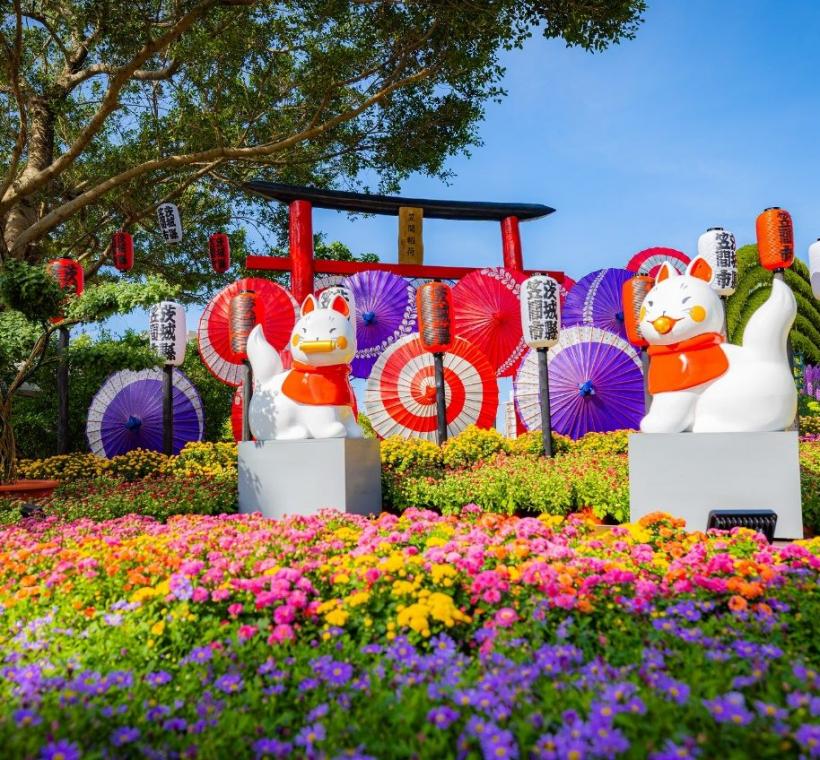 以濃濃的日式風情呈現「菊開祈願．台日友好 笠間菊花節」帶您完成遊日本旅行的夢想