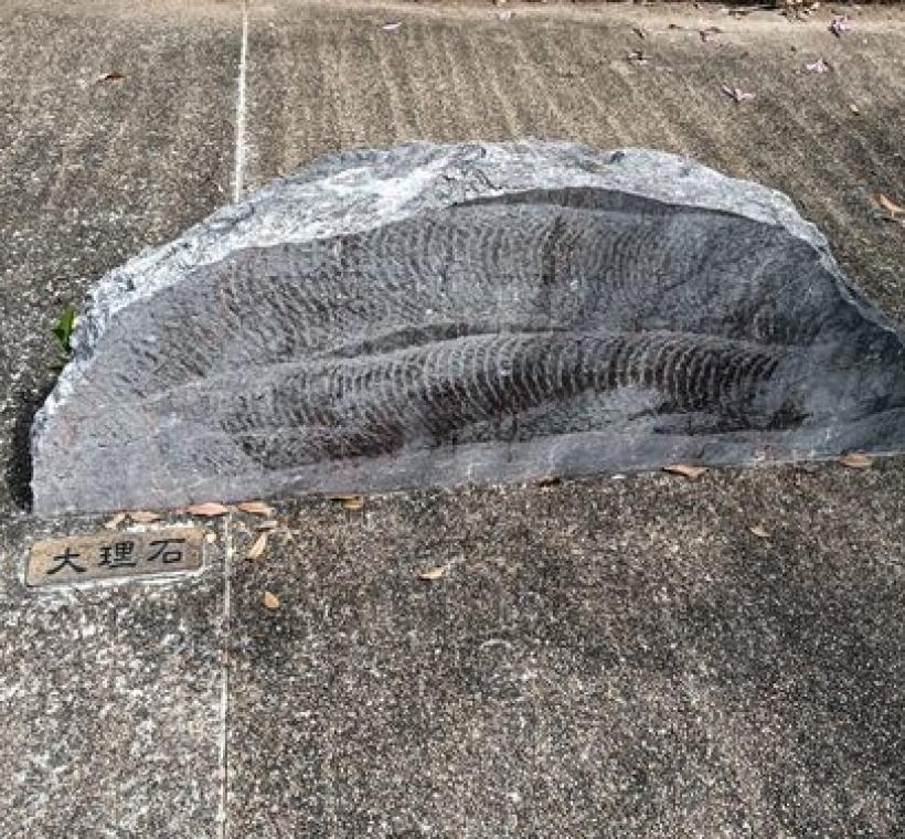 這裡還能親手觸摸蛇紋石、大理石、花崗岩與砂岩，體驗各種石材的天然紋理與觸感。