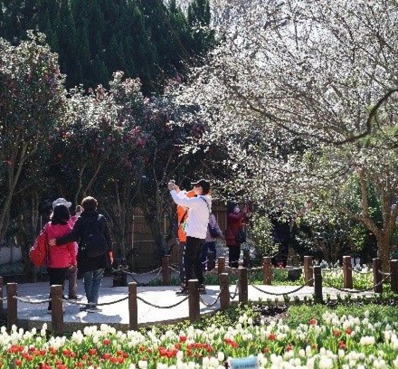 台北花卉中心