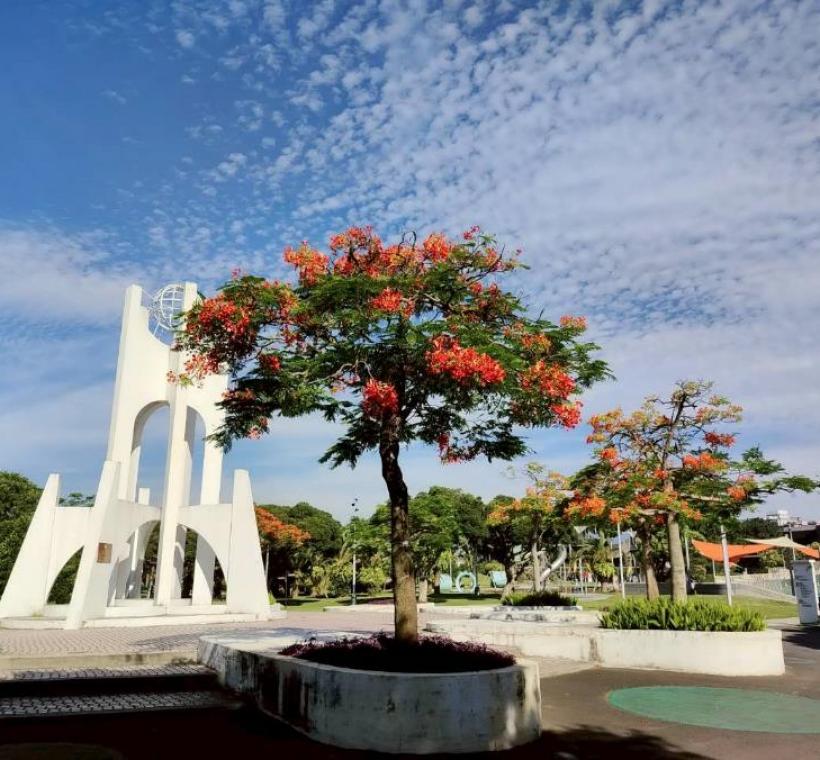 花博公園新生園區則以寬闊草地與花影相互映襯，呈現悠閒愜意的夏日氛圍