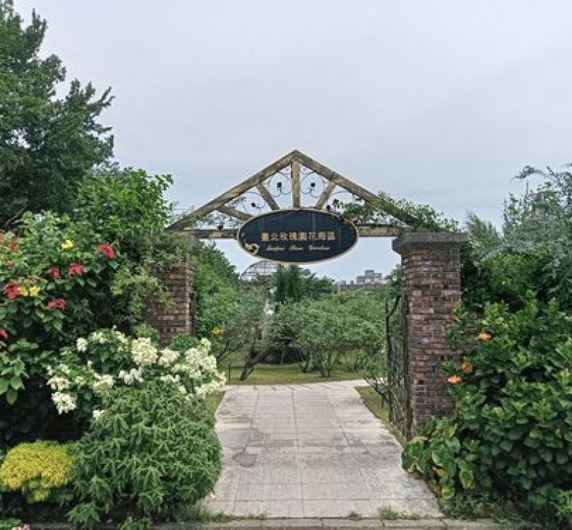 花海區入口可以看到扶桑花和玉葉金花盛開的榮景。