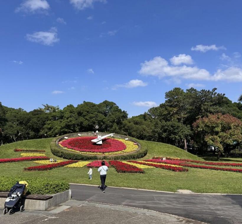 2月份最應景的聖誕紅為青年公園花鐘換裝