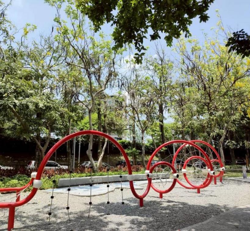 克強公園滿樹金黃與遍地花影交織而成的夏日風景
