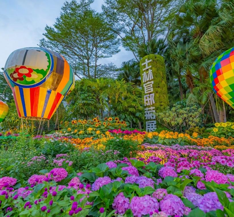 入口以「藝菊圓夢」邀您搭乘熱氣球啟航找尋屬於自己的夢想園地