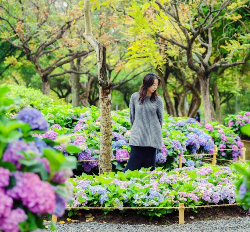 拍下大安森林公園中的任意動植物，並上傳指定貼文，即可享有抽獎資格，各種人氣選品等你帶回家。