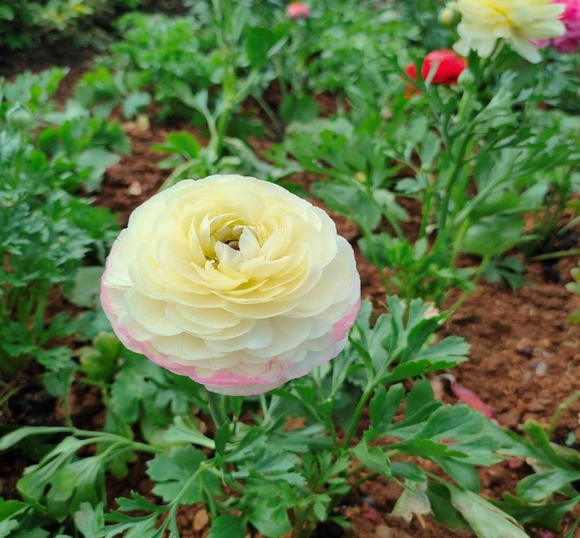 總有些不凡的存在，無法定義-等著你、我去發覺！