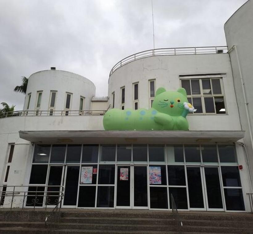 園丁喵喵圓滾滾的身體，像一顆行走的抱枕，眨著無辜的大眼睛。