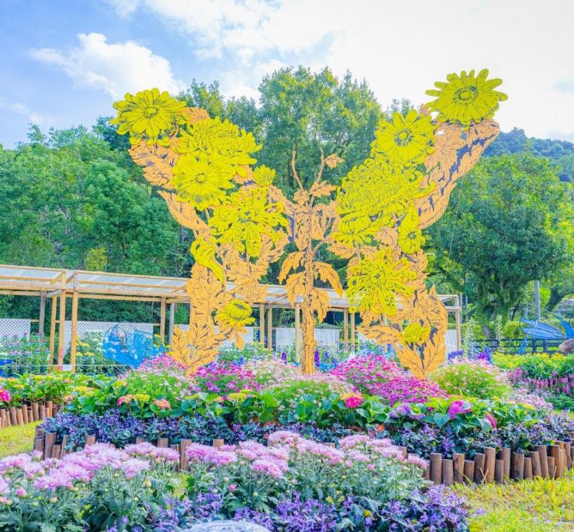 以大型裝置藝術「蛻菊」搭配大立菊及大菊，將園藝職人多年技法完美詮釋