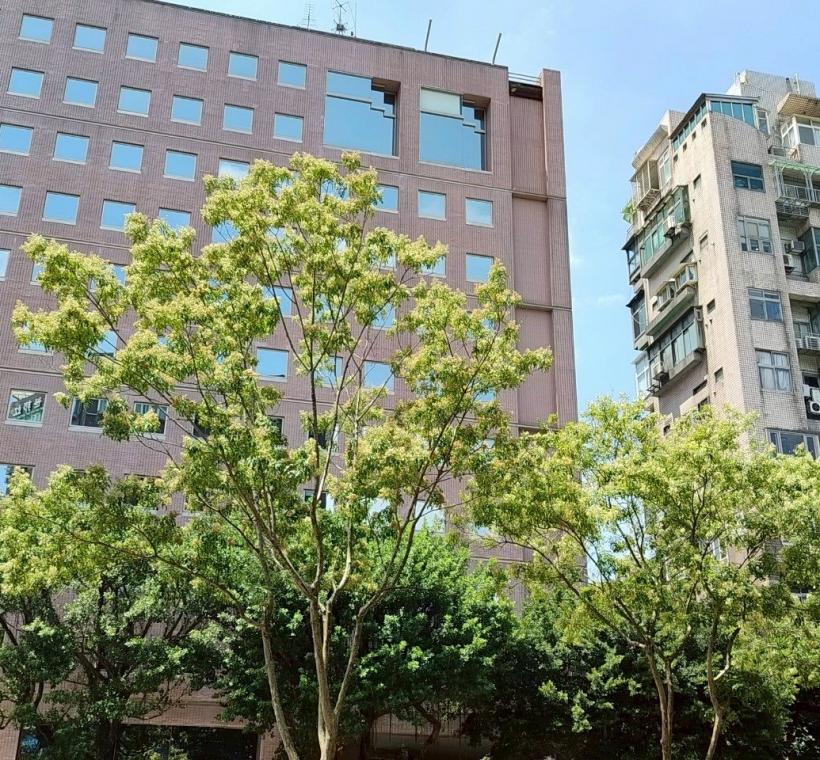 信義路安全島的光臘樹下種植杜鵑、草花等充滿四季變化的動感之美