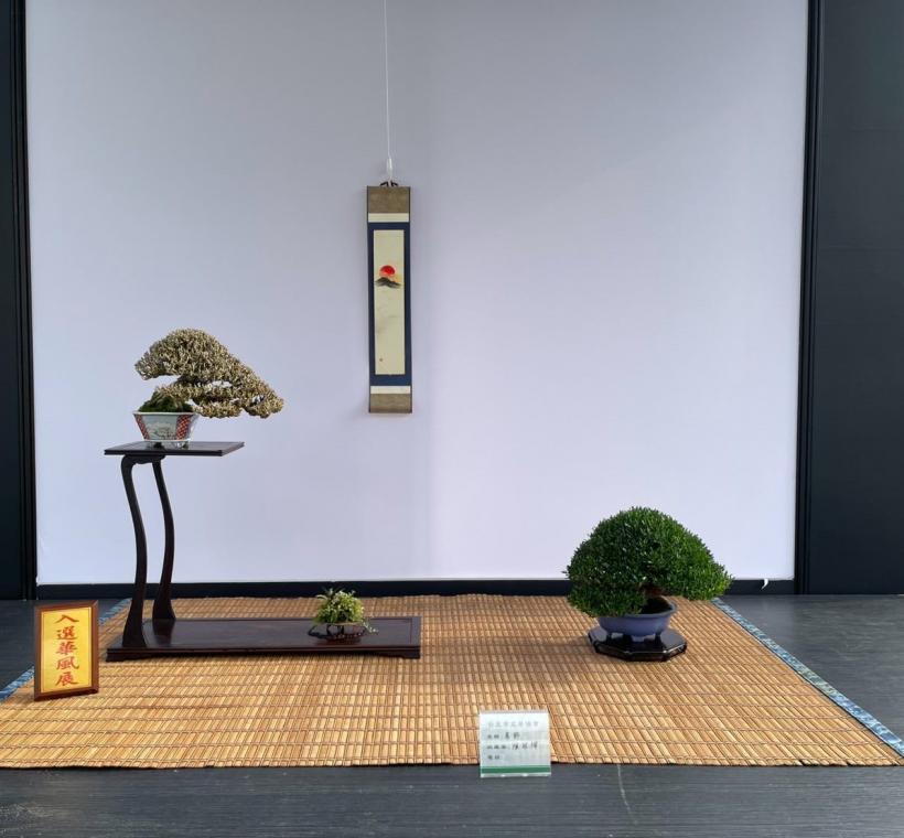 圖5. 入選華風展漢風獎作品。