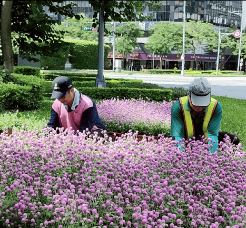景觀出自臺北市工務局公園處苗圃工班的能人巧手，以神奇的綠手指間默默獻上光輝十月的祝福