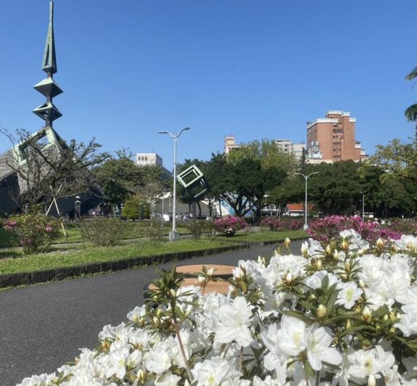 杜鵑花-公園裡春天的要角，怎少得了她。