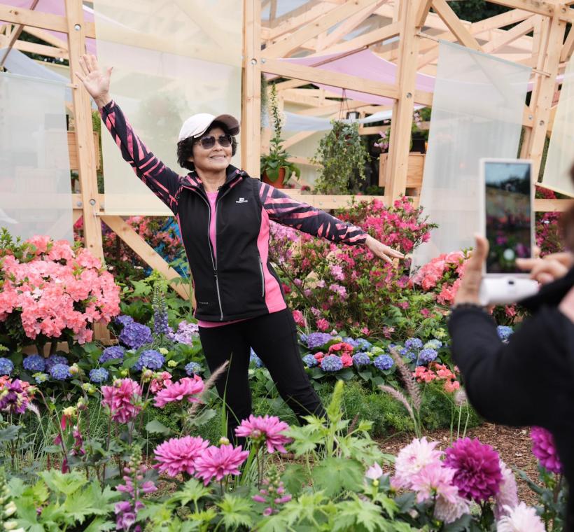 民眾於《拾花號 A’rk》內參觀，欣賞春日花景。