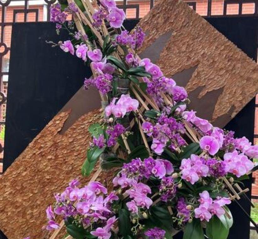 L型架構展現蘭花帶有延伸、蔓延的律動感