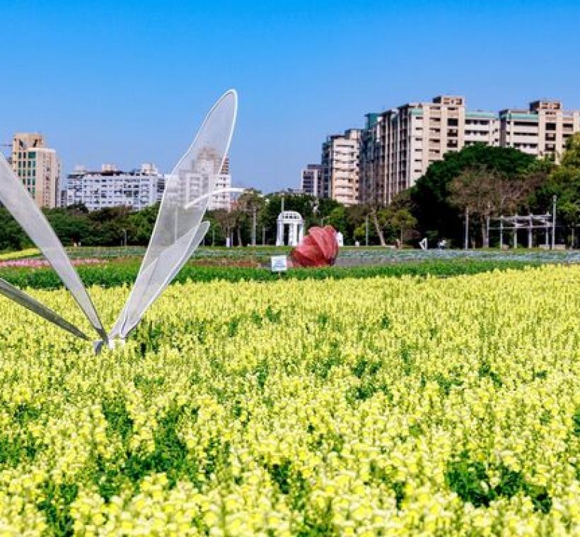 古亭河濱花海 繽紛綻放中